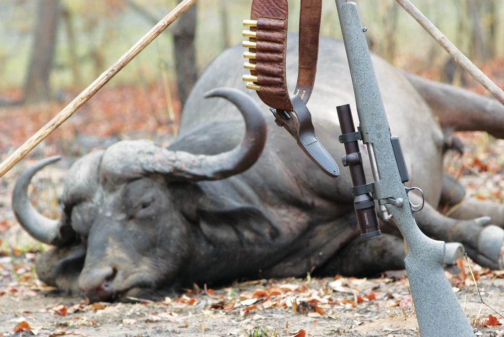 The 416 UMT rifle on shooting sticks, cape buffalo in background. Selous Reserve in Tanzania. Scope is a Swarovski a 1.25-4X24 Habicht model in Warne mounts. A dangerous game rifle will be used at close range and a low power, wide field of view scope is the best choice.