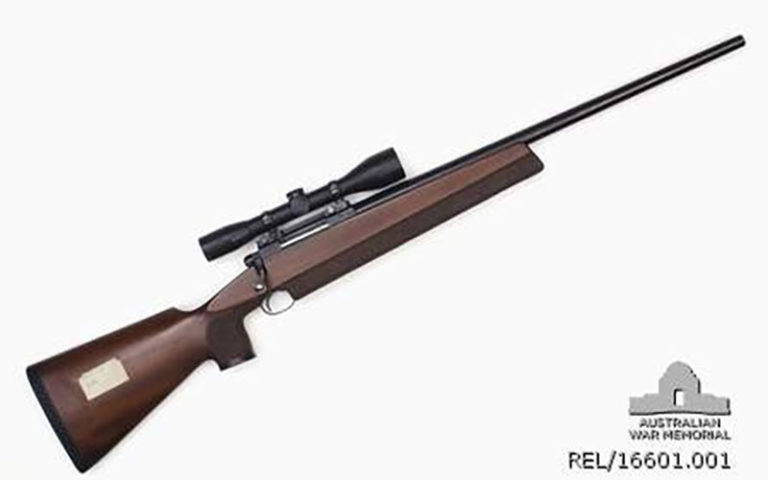 best-22-250-rifle-buyer-s-guide-gun-and-survival