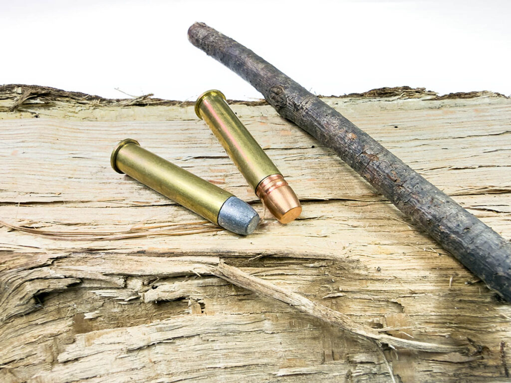 Two .45-70 Gov't cartridges lying on a log next to a stick.