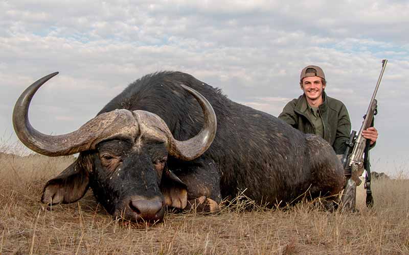 buffalo-hunt-375-Ruger