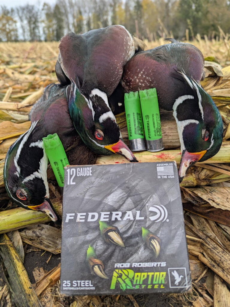 federal raptor shotgun shells