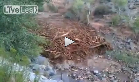 Video: This is How Fast a Flash Flood Hits