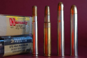 .45 ACP cartridges