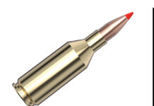 First Look: New Hornady Rifle Loads For 2025 hornady 243 wssm
