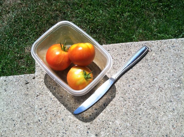Photos: How to Save Tomato Seeds