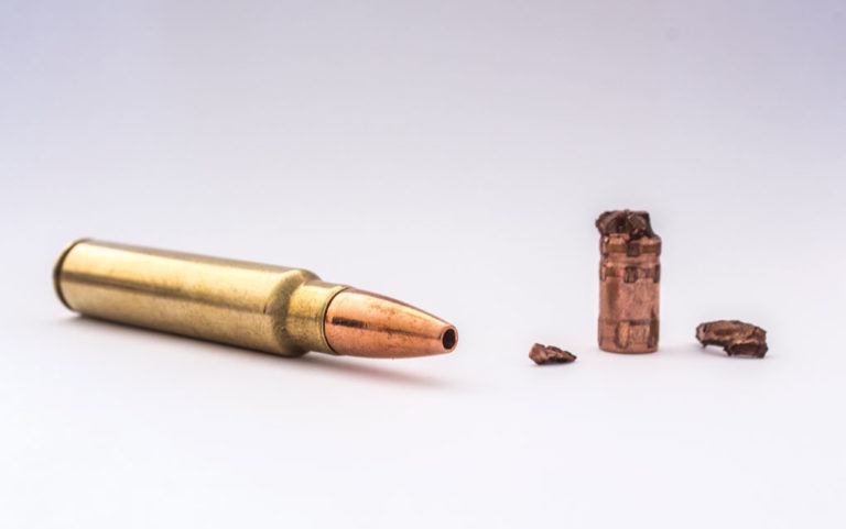 Ammo Brief: .223 Remington For Deer