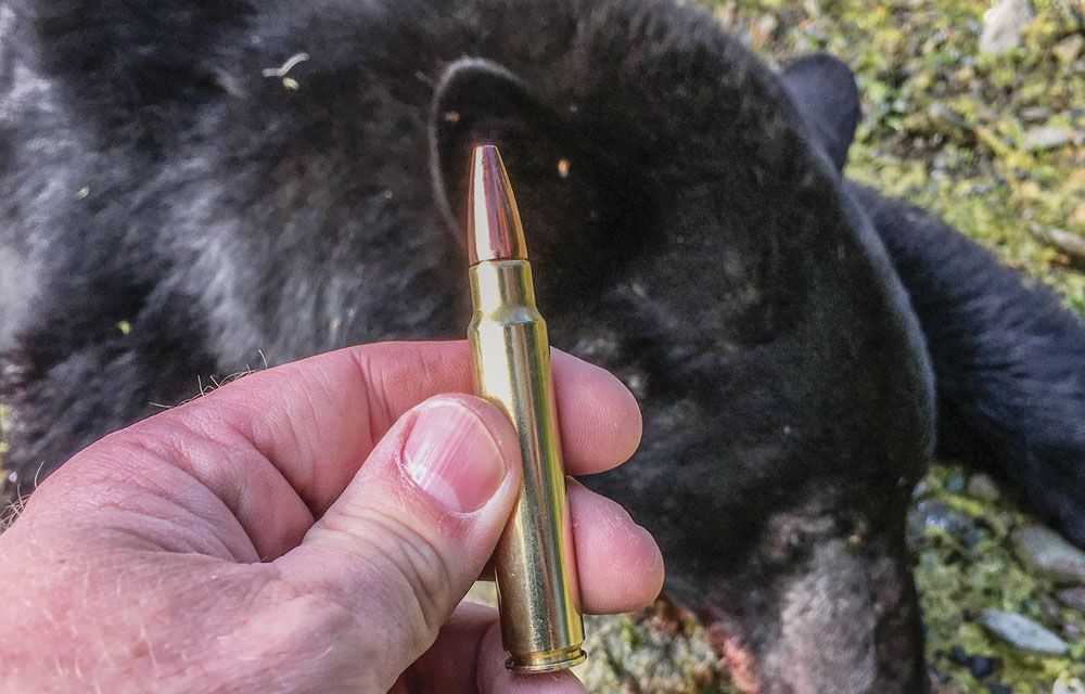 A radical new mono-metal bullet designed by Lehigh Defense dropped this mature Vancouver Island black bear quickly, even at a moderate impact velocity.