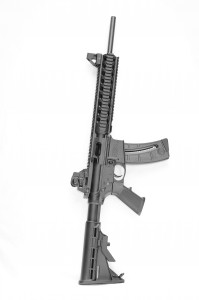 Smith & Wesson M&P 15-22 - one popular 22 rifle