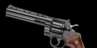 First Look: Pietta .357 Magnum Python Clone pietta python 2