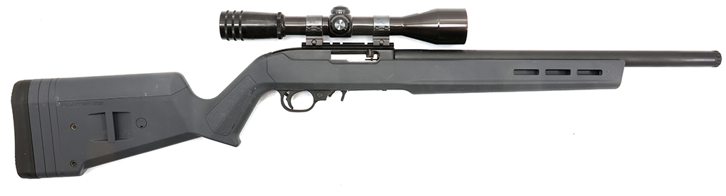 ruger 1022 most popular guns