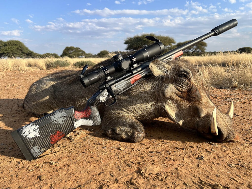 safari warthog