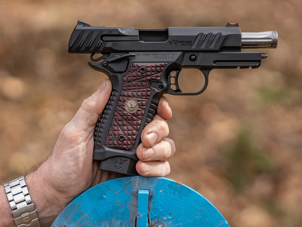 wilson combat iron sights target